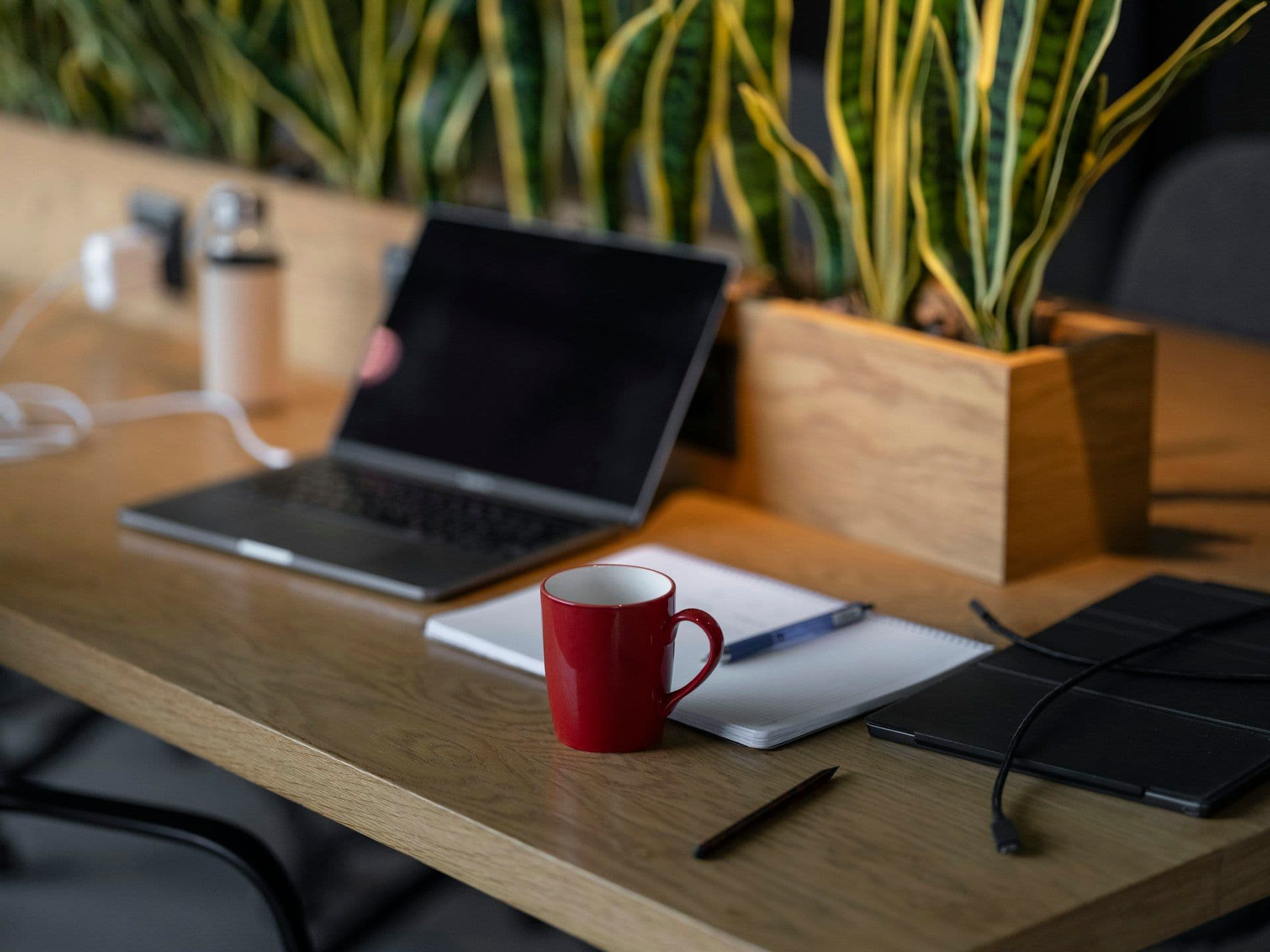 CPA firm accounting practice